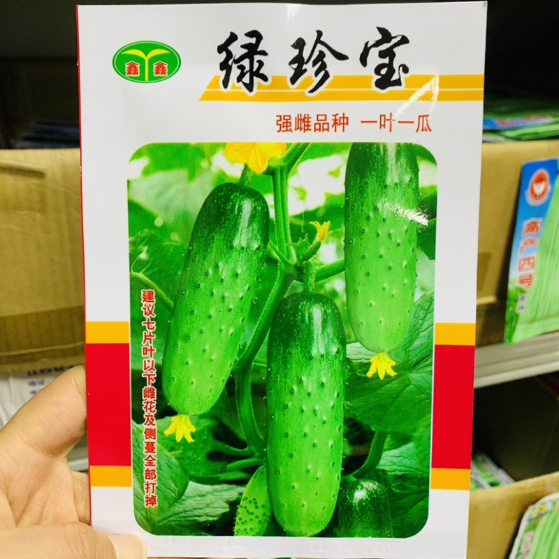 强雌品种一叶一瓜绿珍宝水果黄瓜种子抗病节节有瓜清香细腻