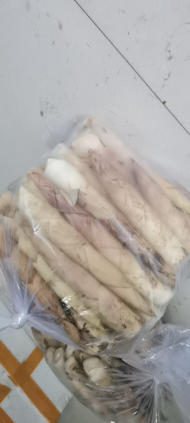 临安区雷竹笋新鲜竹笋新鲜小笋毛笋铺笋大量批发