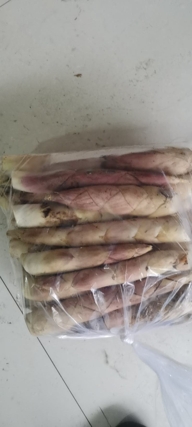 临安区雷竹笋新鲜竹笋新鲜小笋毛笋铺笋大量批发