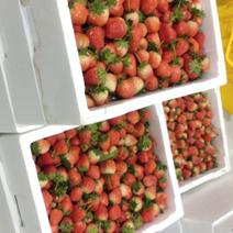 卖草莓
