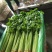 热卖香芹，大量供应，山东聊城常年不断货全国发货