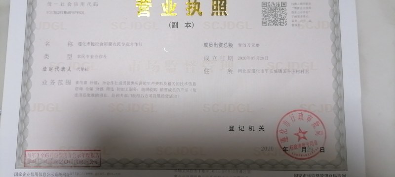 遵化鲜香菇，大集专用电商平台专用，超市引流专用