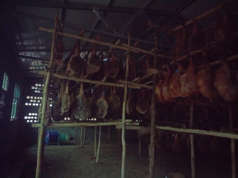 云南老品种放山无饲料猪火腿