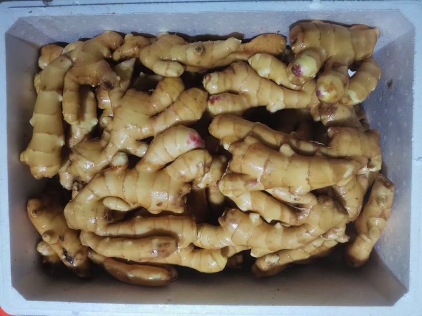 家庭厨房中正在清洗生姜的画面