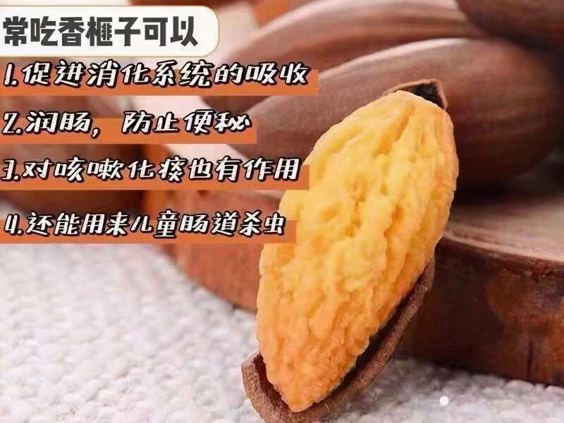 23年新炒高山老树香榧/礼盒团购/5盒1箱装/年货礼品