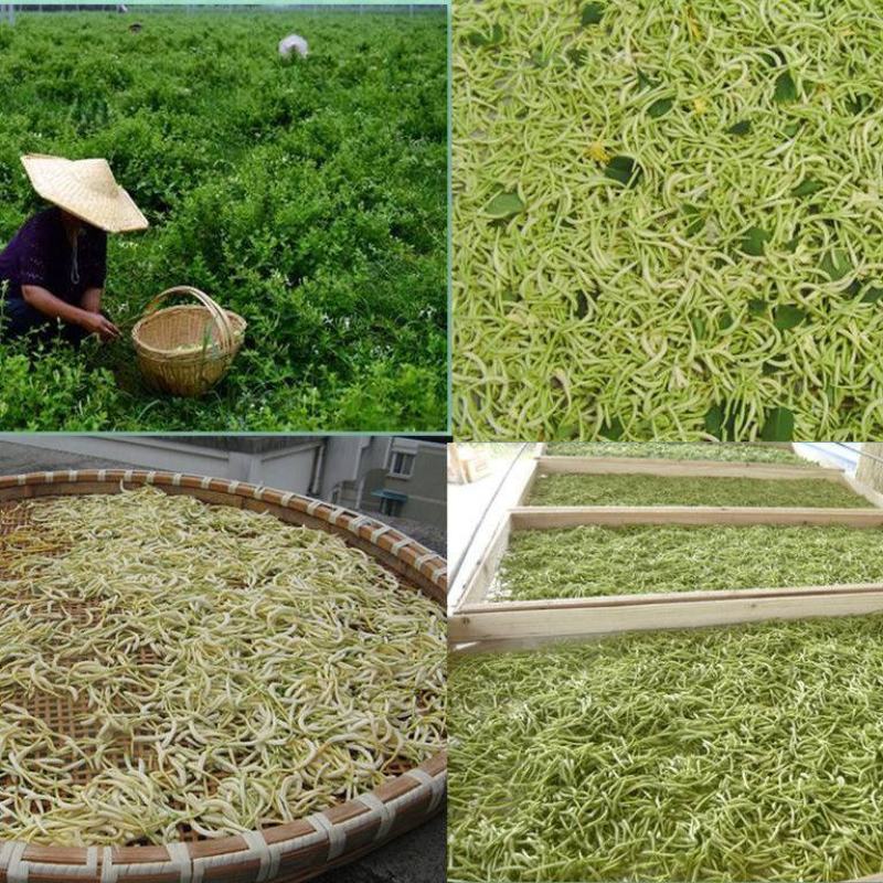 金银花(优质精选金银花)(北花金银花四季花金银花)