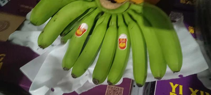 特价菲律宾香蕉大量现货欢迎各大商超合作