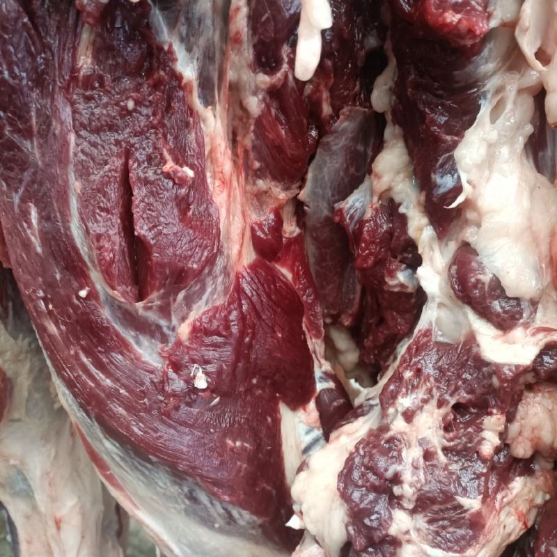 纯驴肉，保证新鲜，货真价实，现宰现发！全国发货！