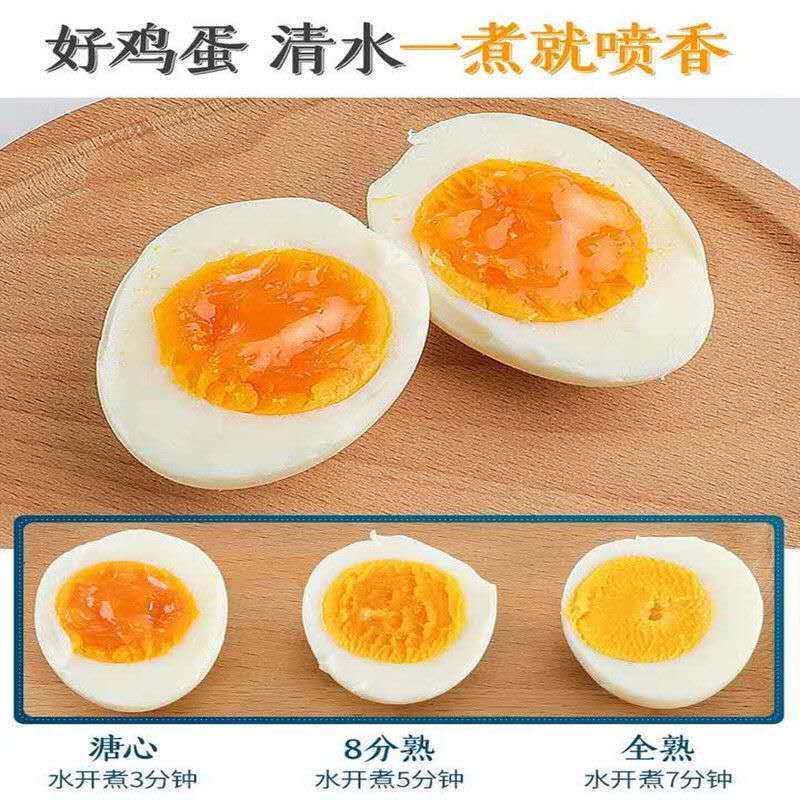 双色精品480枚装五黑鸡散养绿壳鸡蛋/乌鸡蛋/绿壳乌鸡蛋