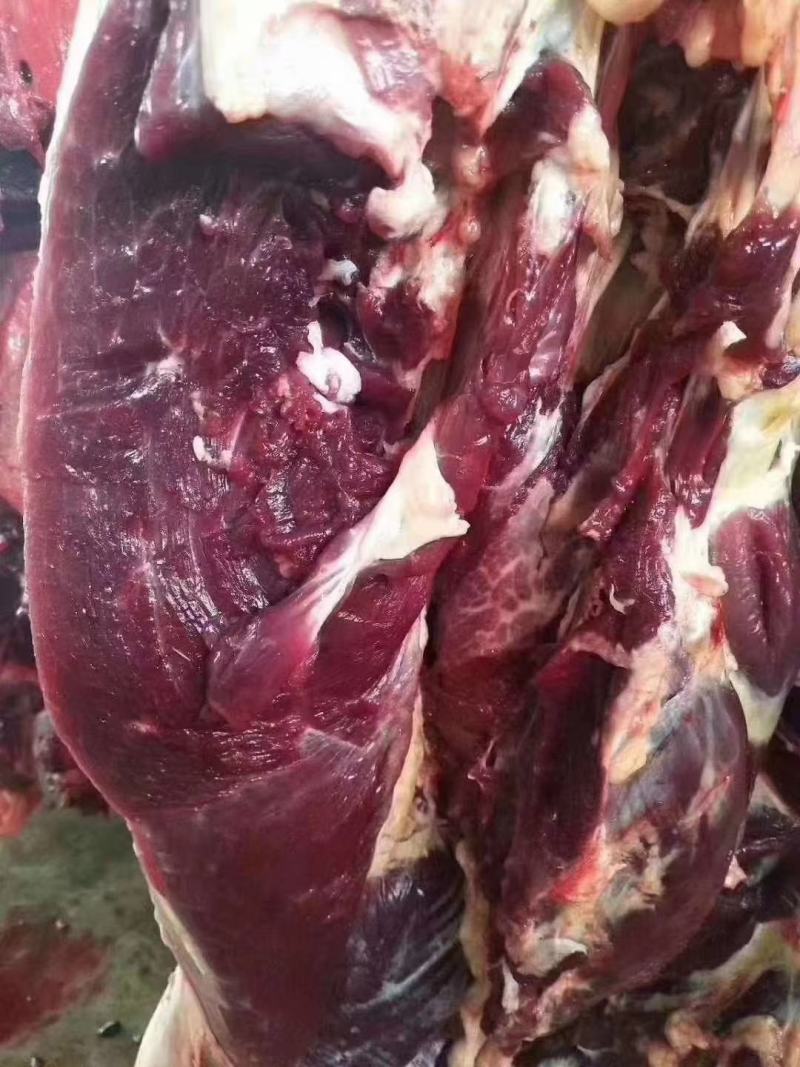 纯驴肉，保证新鲜，货真价实，现宰现发！全国发货！