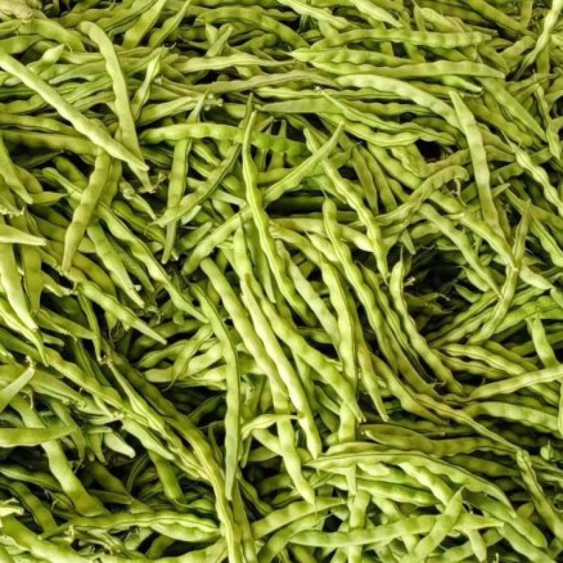 品质豆角大青豆产地直销品质保证欢迎选购