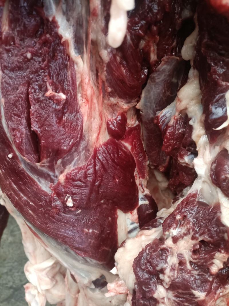 鲜驴肉，带皮驴肉，保证纯驴肉纯干肉，货真价实，保证质量！