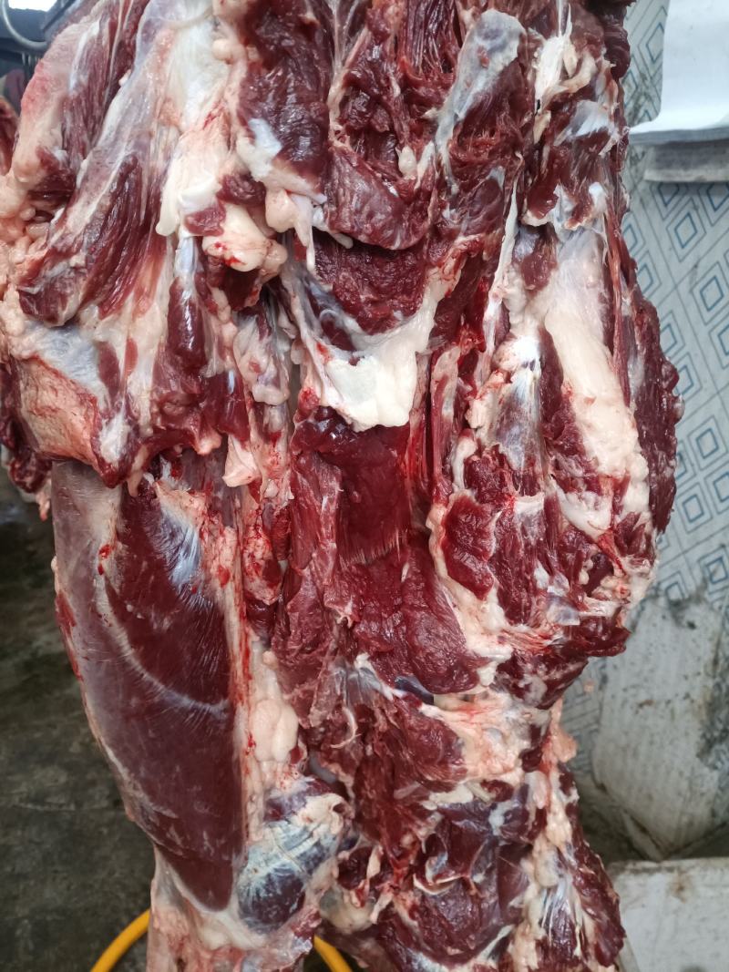 鲜驴肉，带皮驴肉，保证纯驴肉纯干肉，货真价实，保证质量！