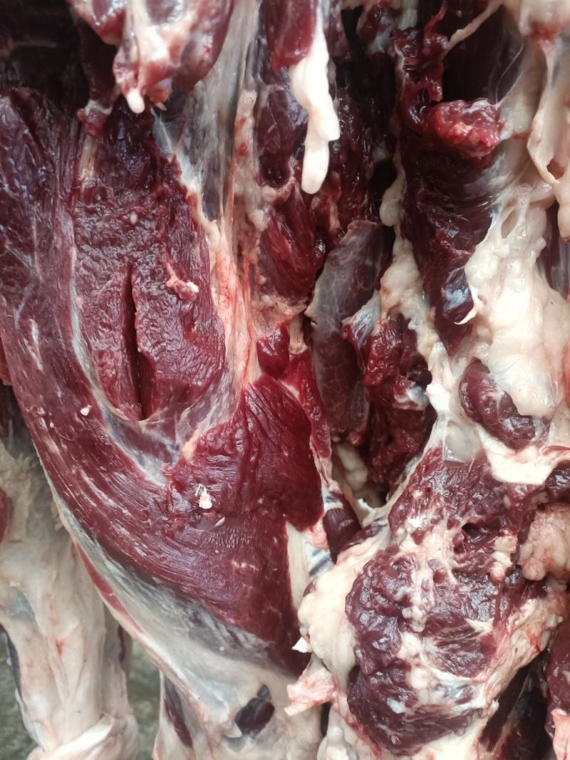 鲜驴肉，带皮驴肉，保证纯驴肉纯干肉，货真价实，保证质量！