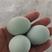 双色精品480枚包装绿壳鸡蛋/乌鸡蛋/绿壳土鸡蛋