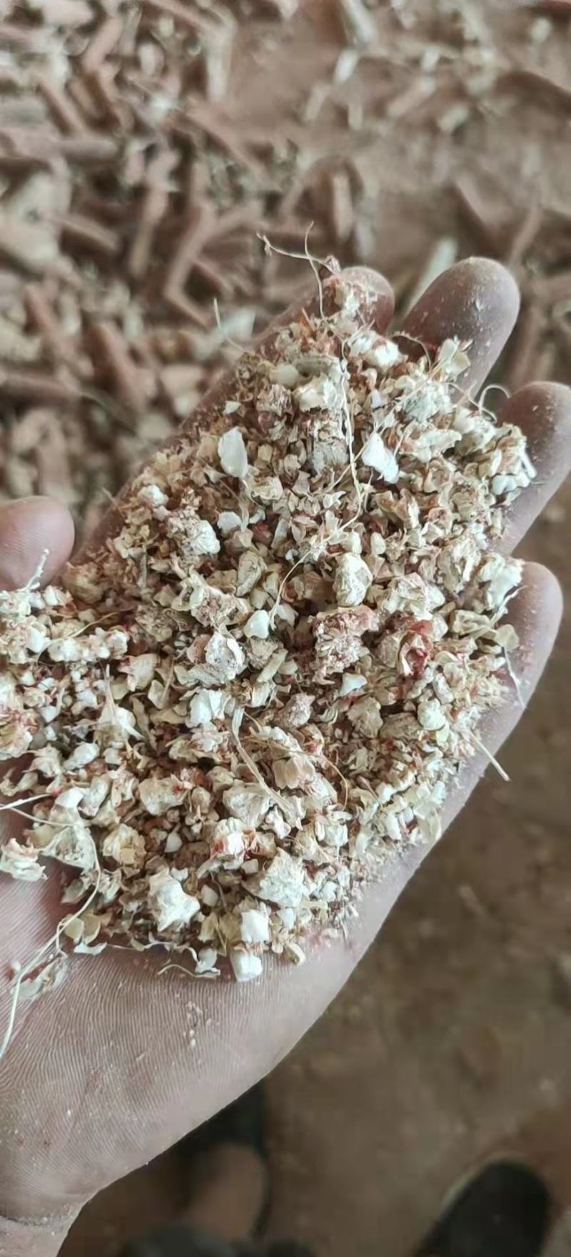 优质玉米芯颗粒，长年有货，支持视频看货，普通软包，压块，