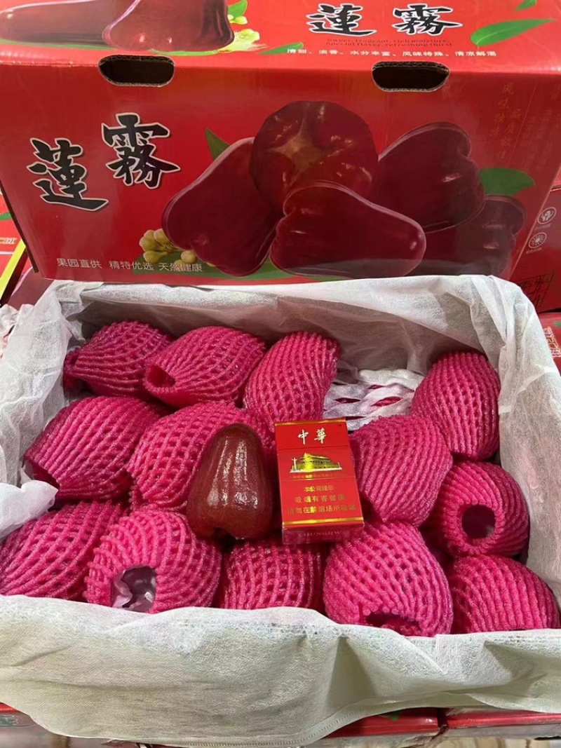 海南黑金刚莲雾产地代办，长期稳定供应市场，社区团购