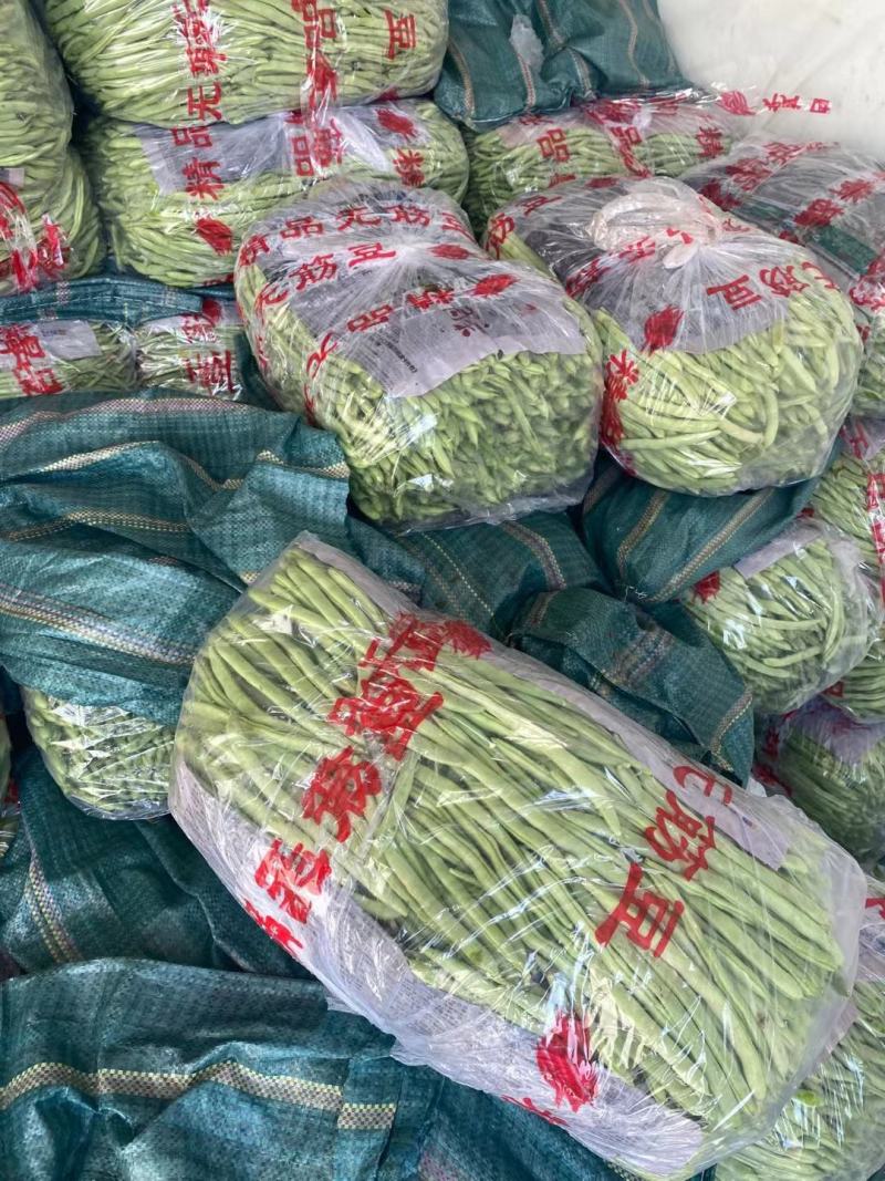 精品架豆王，无筋豆，豆王，四季豆，大量供应品质有保证！