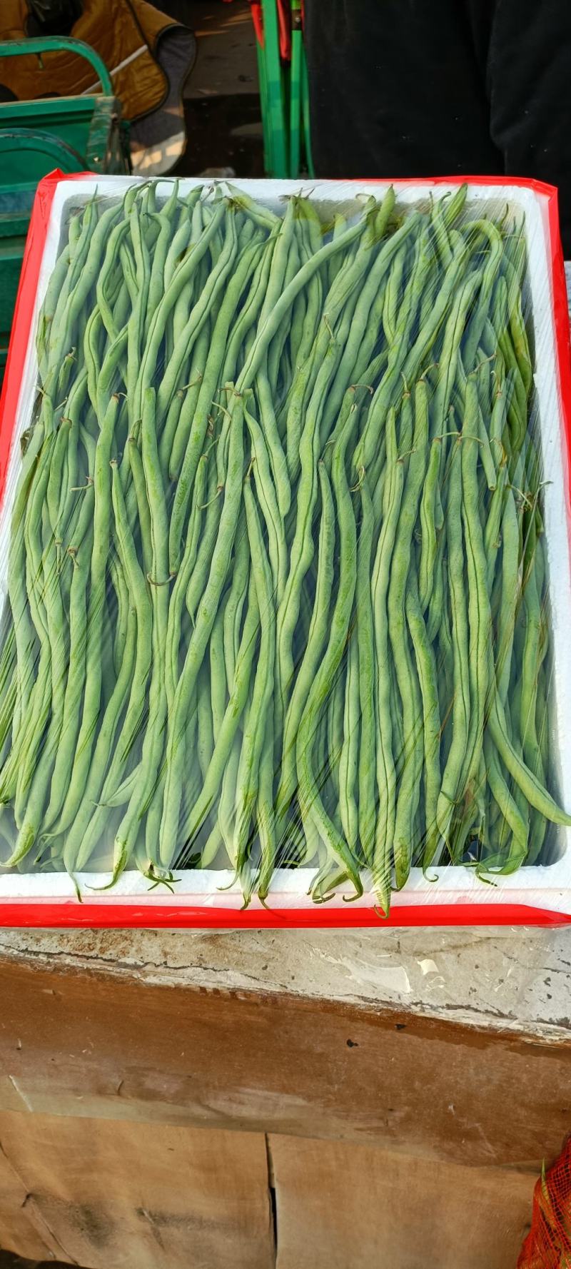 精品架豆王，无筋豆，豆王，四季豆，大量供应品质有保证！
