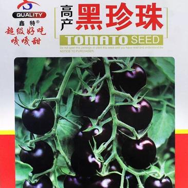高产黑珍珠番茄种子，100粒