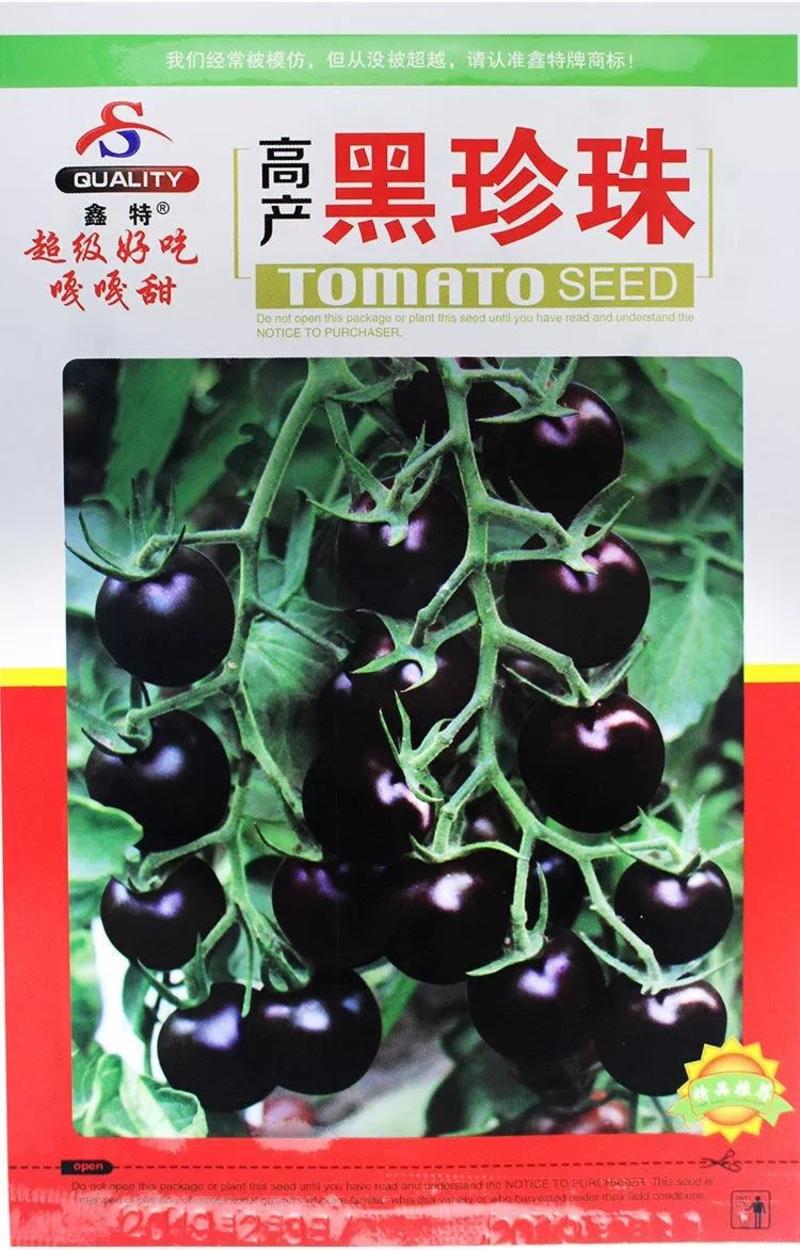 高产黑珍珠番茄种子，100粒糖度10.6.单个20克左右
