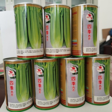 西芹种子黄玉西芹文图拉四季播种耐热耐低温抗病强高产