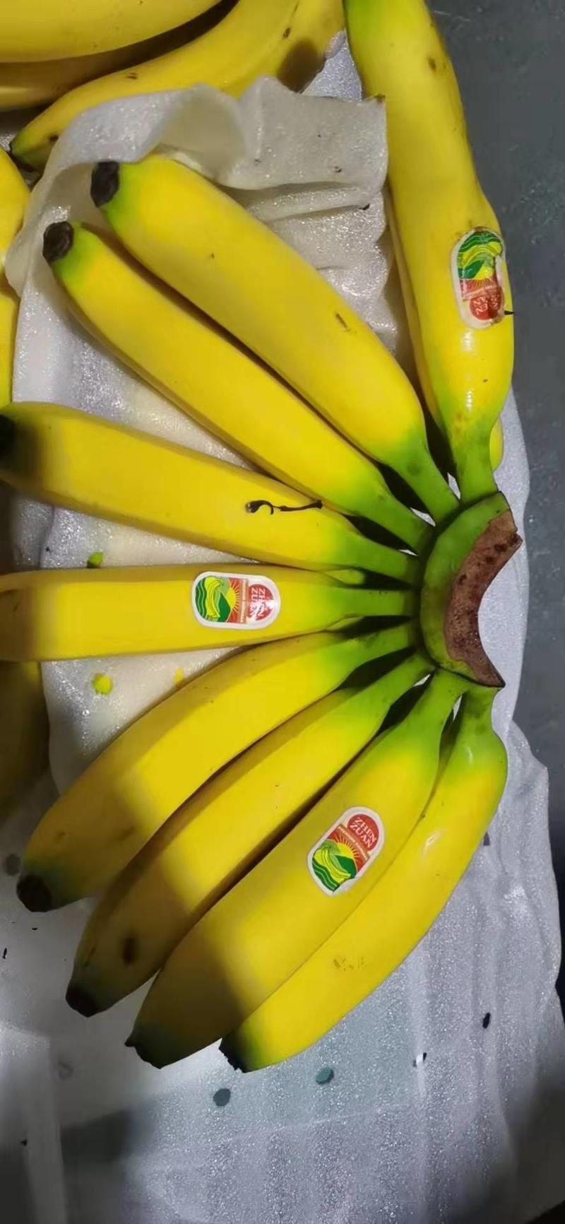 专营一级香蕉，一级青蕉二黄蕉，无损耗，针对各种电商，超市