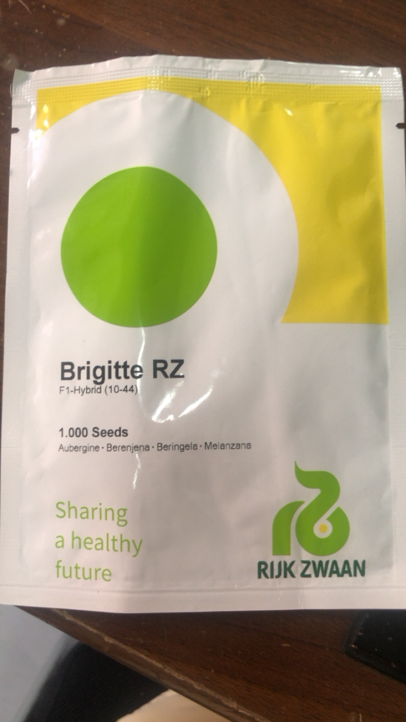 布利塔长茄种子瑞克斯旺原装长茄种子
