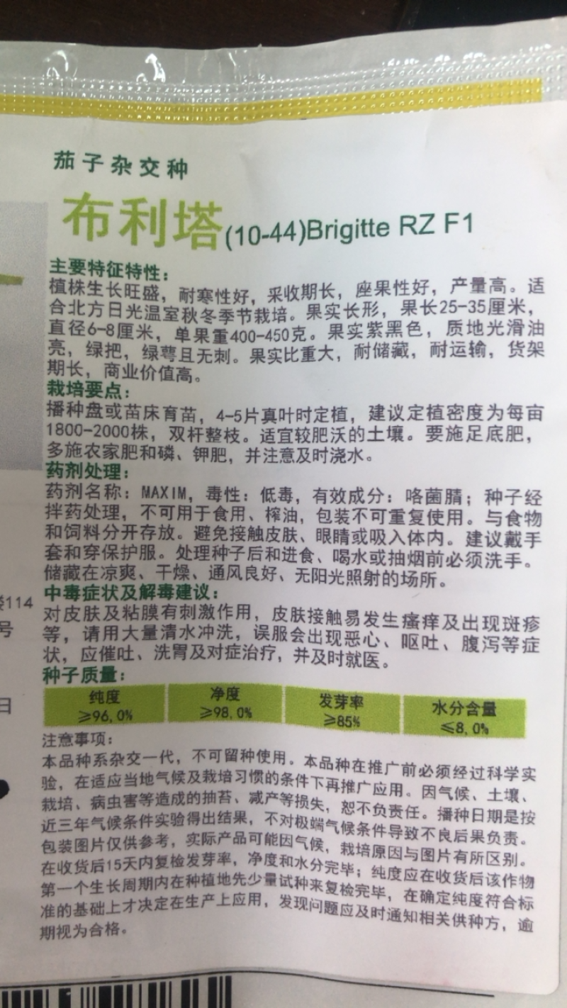 布利塔长茄种子瑞克斯旺原装长茄种子