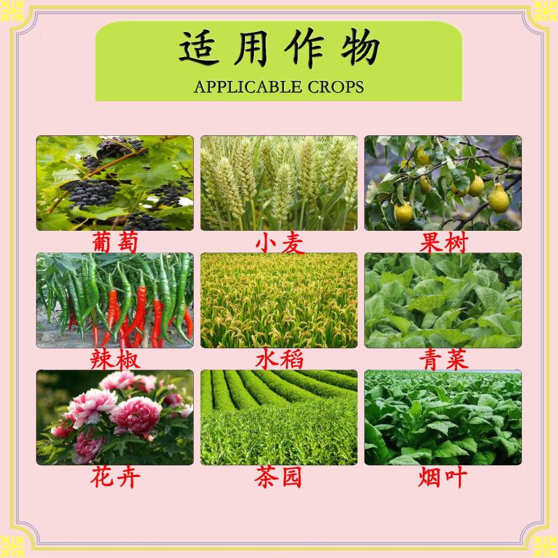 40%苯甲醚菌酯炭疽病白粉病纹枯病叶斑病黑星病蔓枯病