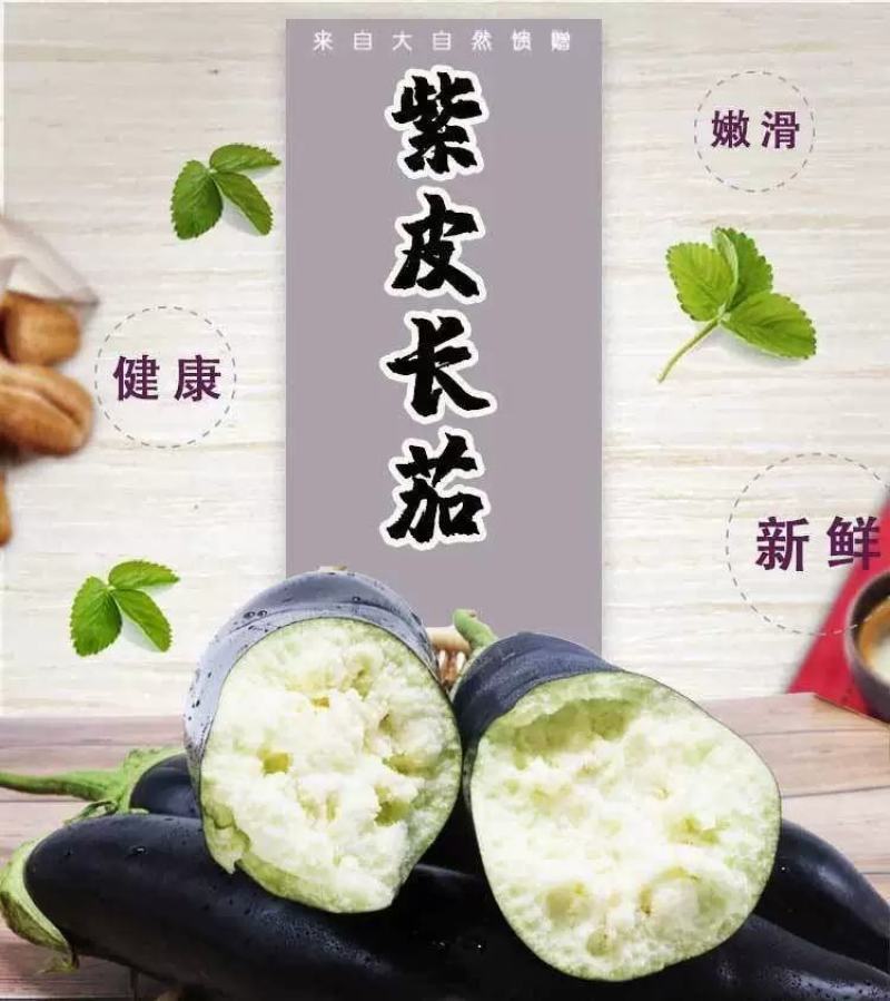 欧美科F1黑金刚茄种子杂交墨茄条茄种子绿肉茄子种子长棒黑