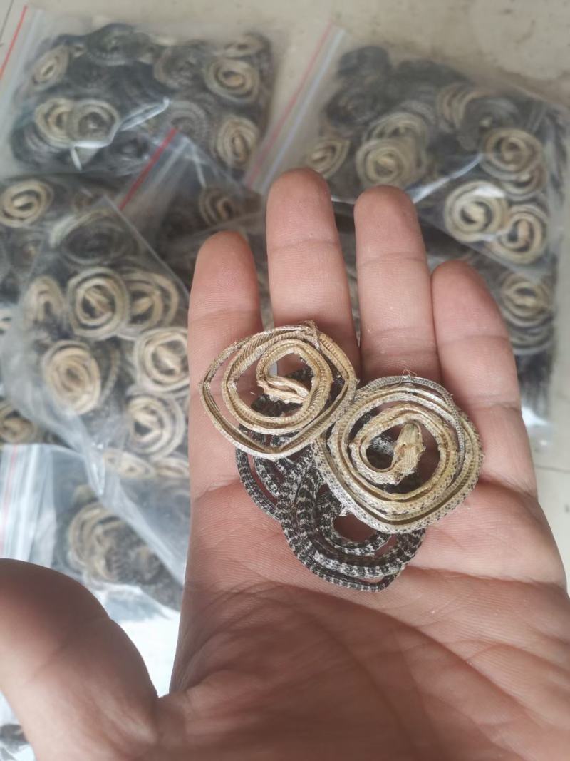 白花蛇各种规格齐全欢迎选购