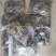 白花蛇各种规格齐全欢迎选购