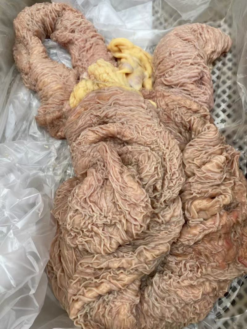 精品鲜板肠