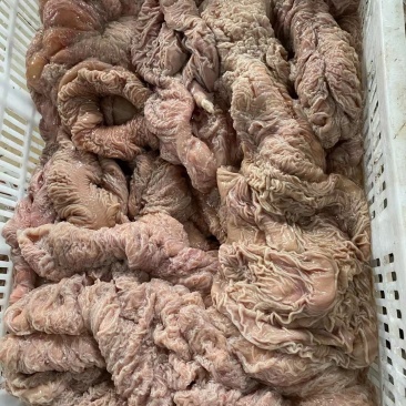 精品鲜板肠