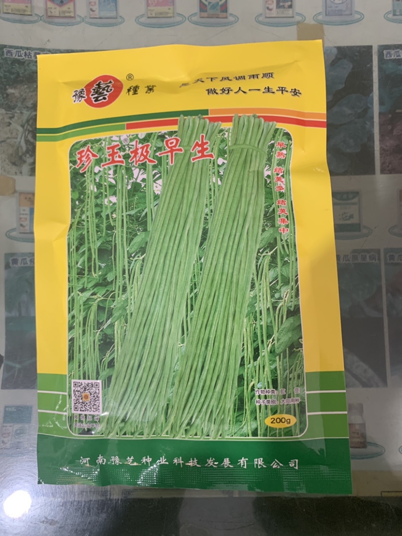 豫艺珍玉极早生长豆角种子早熟结荚多40天熟