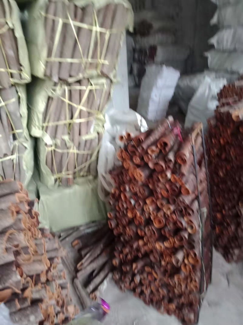 正宗广西干桂皮质量保证产地调味品直销