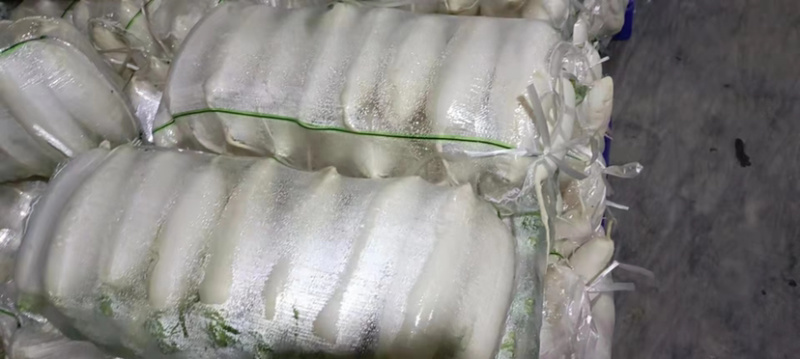 精品345排白萝卜产地直发大量有货