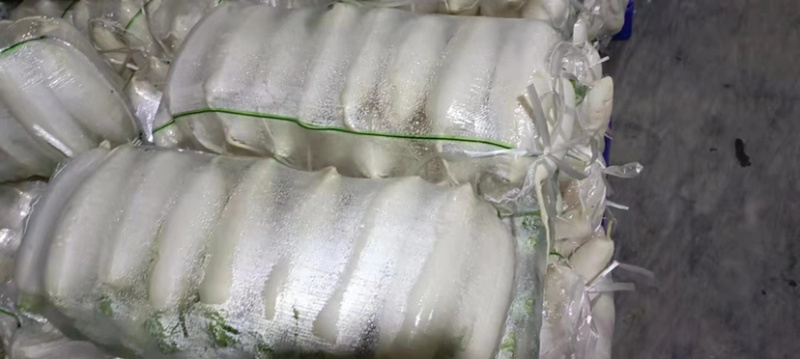 精品345排白萝卜产地直发大量有货