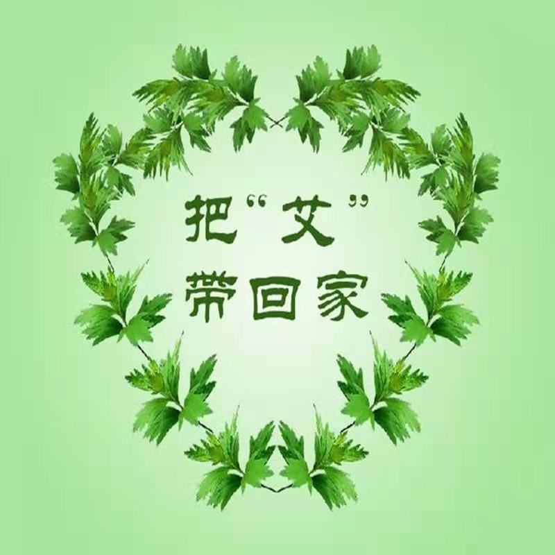 艾草苗包邮大叶药用蕲艾苗艾蒿苗泡脚艾灸四季