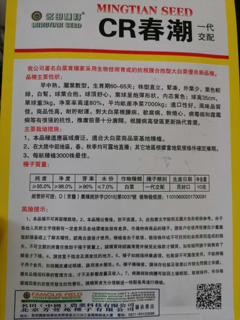 黄心大白菜种籽春秋季泡菜菜籽白菜种菜种籽包邮