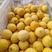 安岳尤力克柠檬，果园产地一件代发，坏果包赔，包邮到家！