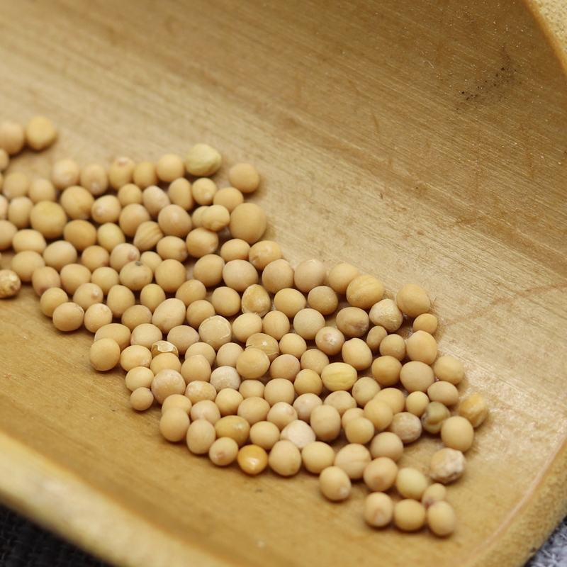正品白芥子干净无杂白介子辣菜子芥菜子非野生中药材白芥籽