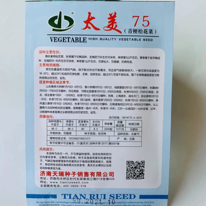 太美75青梗松花菜种子春秋兼用松花菜花球松大抗病强花椰菜