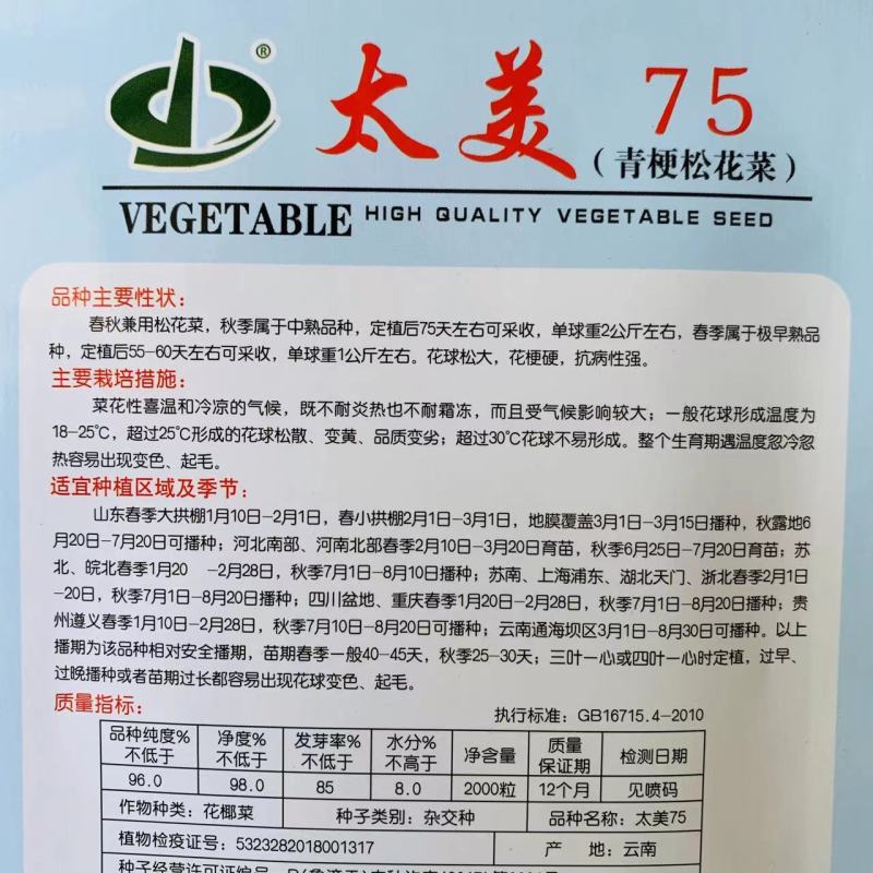太美75青梗松花菜种子春秋兼用松花菜花球松大抗病强花椰菜