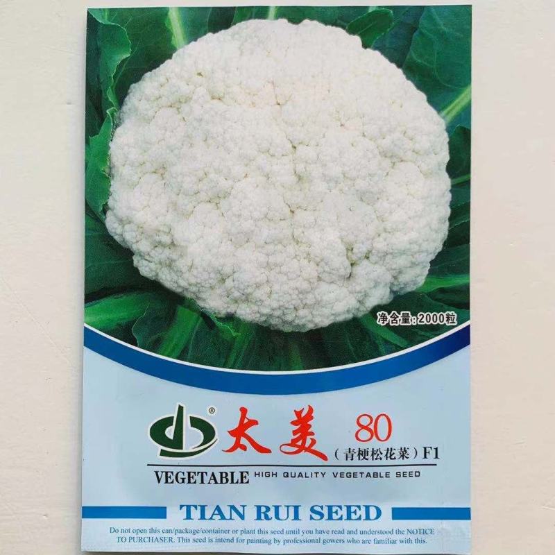 太美75青梗松花菜种子春秋兼用松花菜花球松大抗病强花椰菜