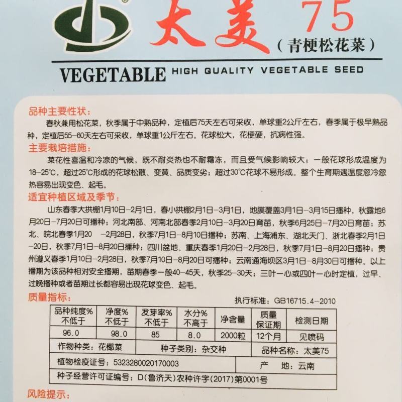 太美75青梗松花菜种子春秋兼用松花菜花球松大抗病强花椰菜