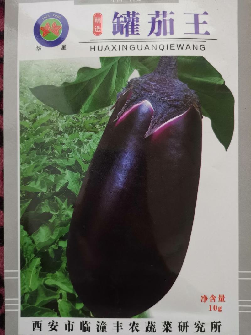 牛心茄子种子紫罐茄子种子罐子茄子种子茄子良种