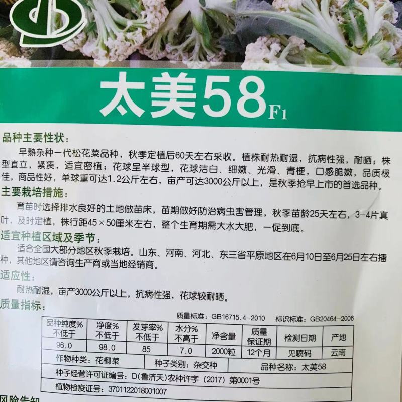 耐热耐晒耐湿产量高太美58早熟杂交一代松花菜种子青梗花菜