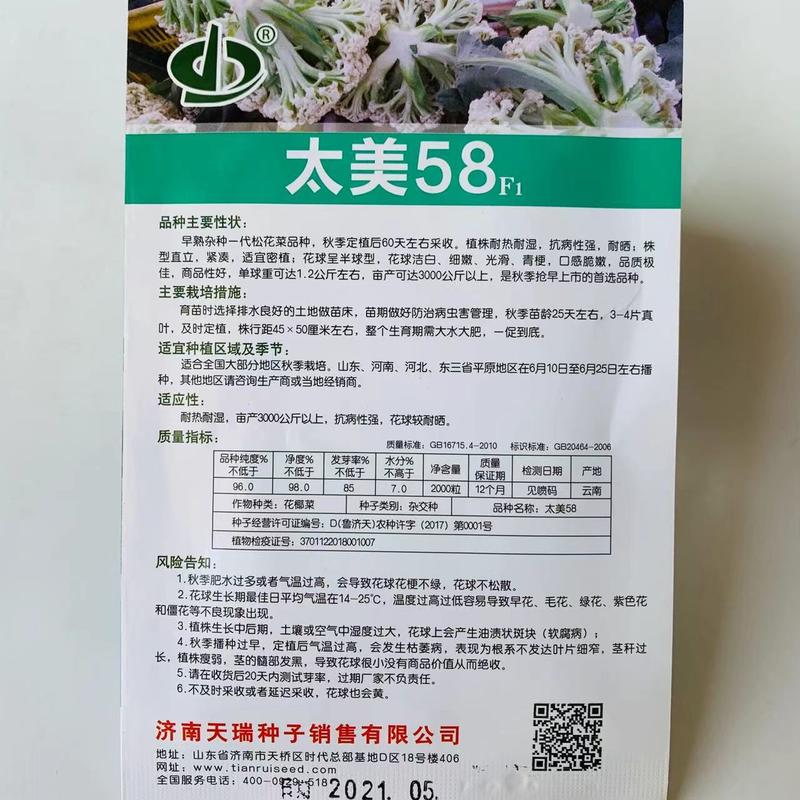耐热耐晒耐湿产量高太美58早熟杂交一代松花菜种子青梗花菜